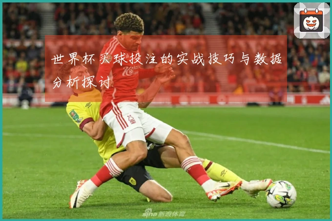 世界杯买球投注的实战技巧与数据分析探讨