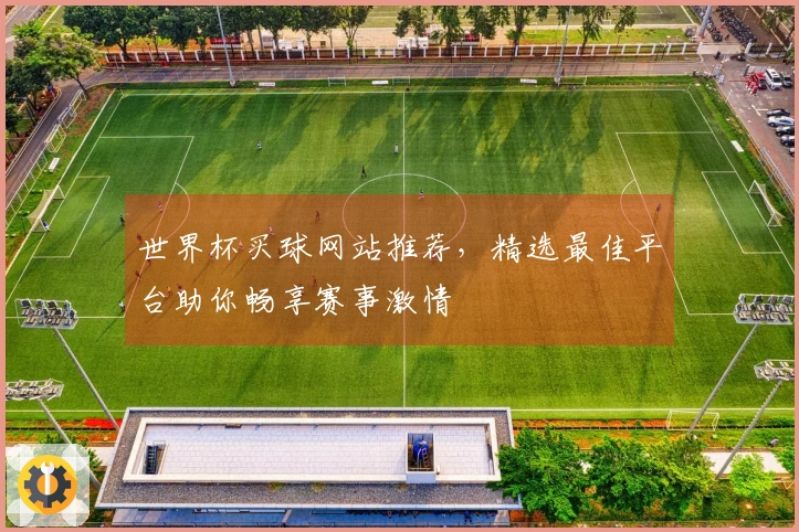 世界杯买球网站推荐，精选最佳平台助你畅享赛事激情
