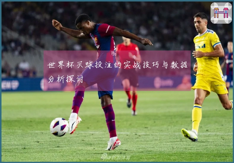 世界杯买球投注的实战技巧与数据分析探讨