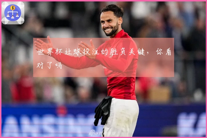 世界杯让球投注的胜负关键，你看对了吗